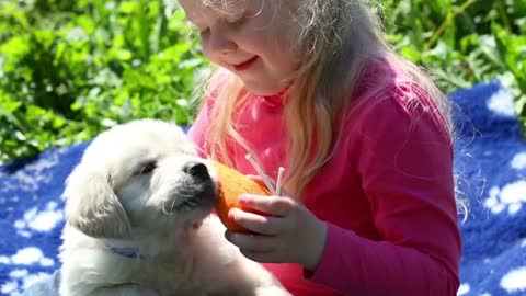 Beautiful little girl playing with a puppy in nature