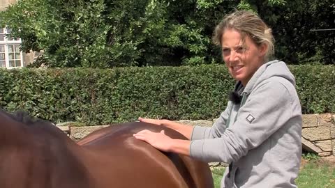 Massage-Tipps für dein Pferd 🐴💆🏼‍♀️ | Physiotherapeutin Josefa Sommer zeigt was jeder kann