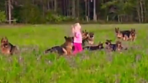 Adorable dogs #shorts