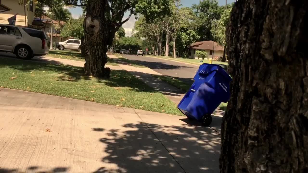 Girl Knocked Out During Trash Prank Gone Wrong