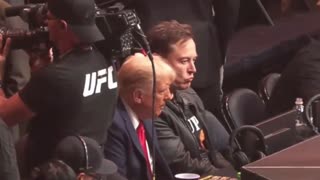 President Donald J. Trump and Elon Musk at UFC event in New York.