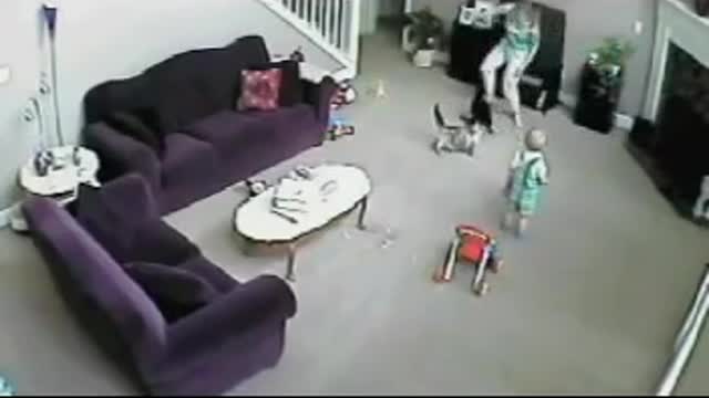 ANGRY CAT vs BABYSITTER