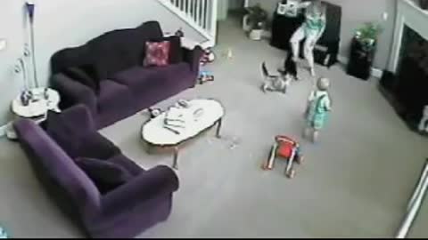 ANGRY CAT vs BABYSITTER