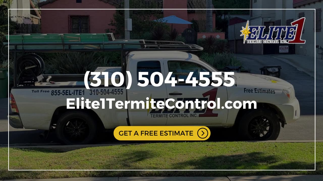 Termite control Los Angeles * Call (310) 504-4555 | Elite1Termite Control