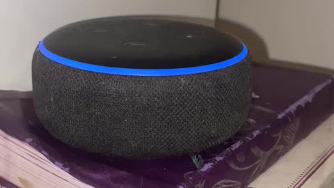 Alexa, What is a women?