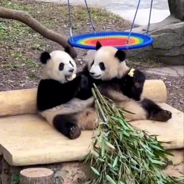 You have outdone yourself. These are delicious