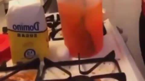 SHE REALLY PUT AN EGG IN THAT KOOL-AID?? 🤢😵‍💫