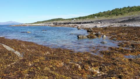 Seaweed in the bay through low islands