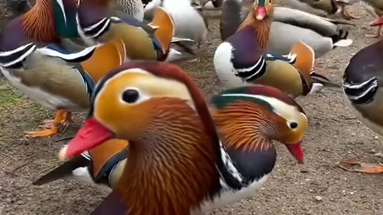 ❤️😍❤️😍😍❤️😍😍