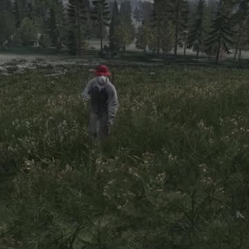 Getting Betrayed In DayZ Be Like
