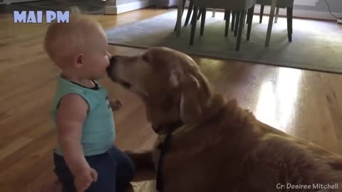 What greater gift than love of a Dog - Cute dog showing love to owner videos 2022