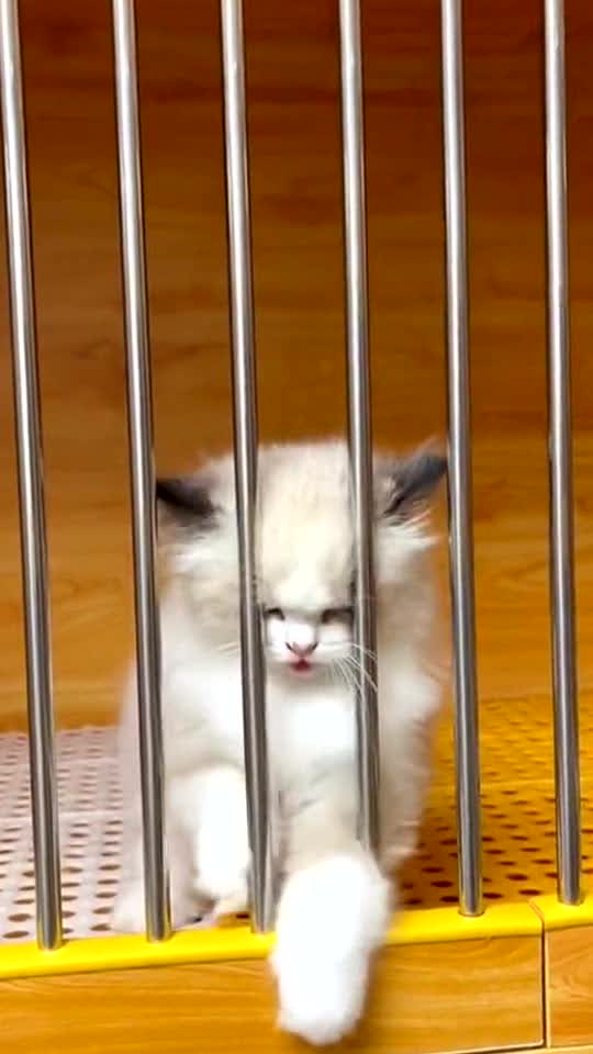 It looks like this 😡