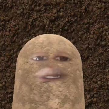Crazy Potato