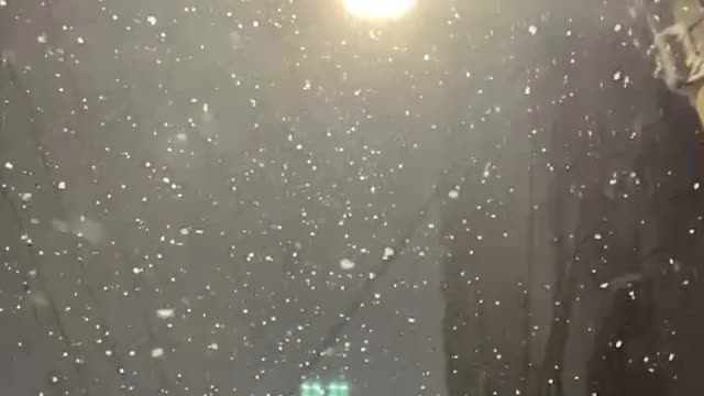 Snowing under the light