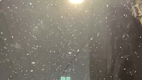 Snowing under the light