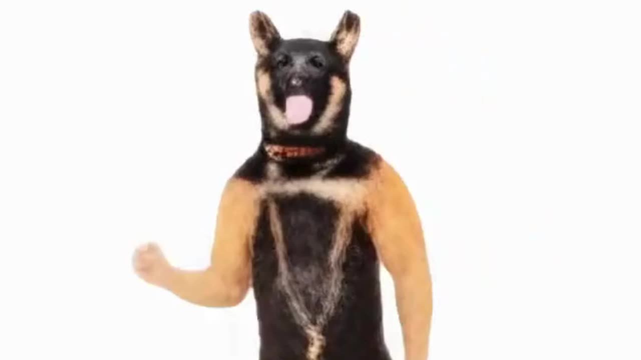 Doggie Dougie