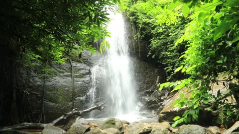 Como é bom apreciar a natureza.