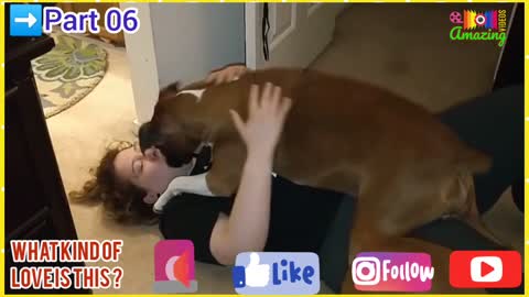 Hot Amazing🤩Dog🐕‍🦺Lover🐕Part 06💋Kissing Dog🐶Video🦮Animal😍Dog Lover🐕Amazing🧐Shorts😳Reels📢Videos😁📸