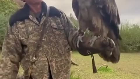 Vulture swallows a bone!!!