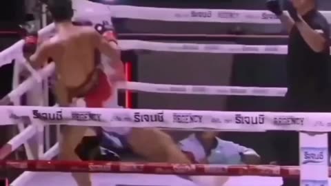 This Fighter was a salvage in the Ring.