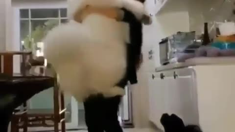 Playing with my pet love thing /trending funny video