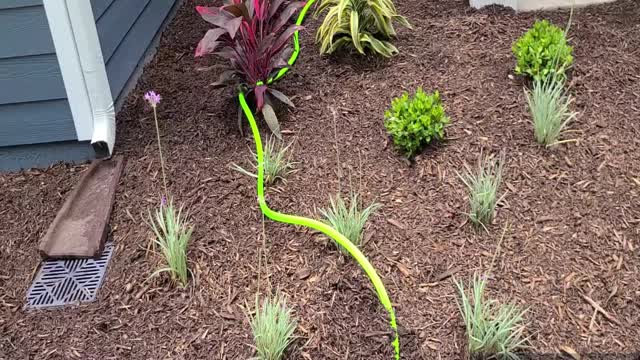 Jason & Michelle's (and Jase) Little Flower Garden