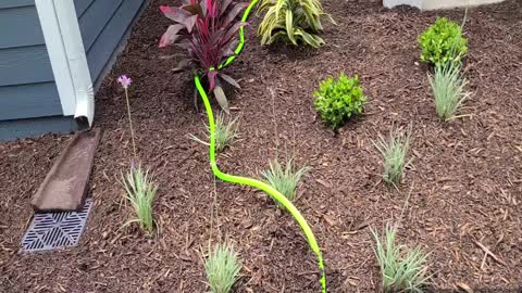 Jason & Michelle's (and Jase) Little Flower Garden