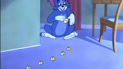 Tom&Jerry Episode Nit witty Kitty Full Watch.(Cartoon World)