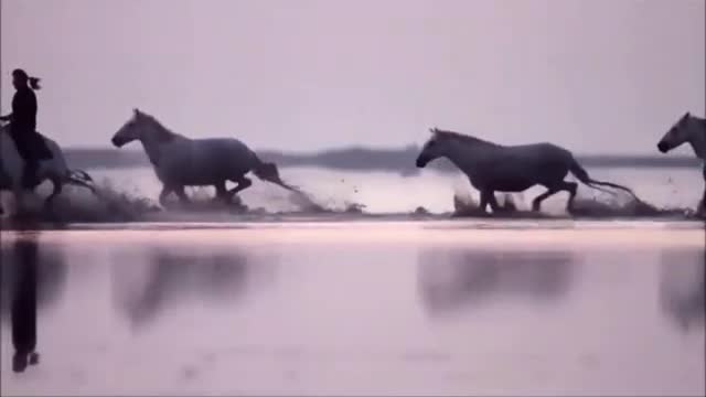 Run