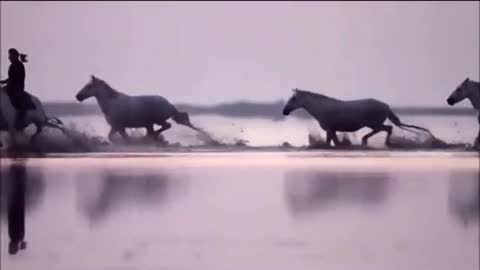 Run