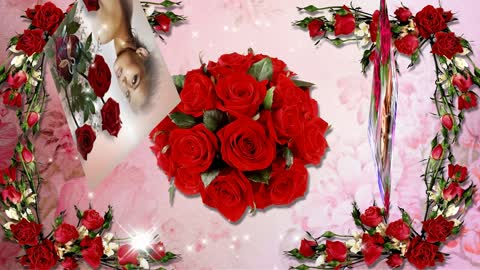 4071_Project ProShow Producer В день рождения