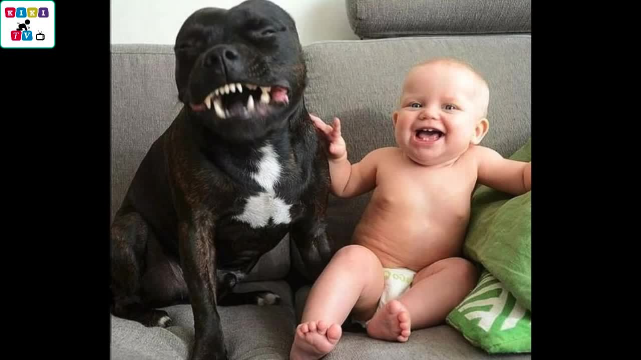 Cute Dog. Dogs reactions first time seeing a toddler.