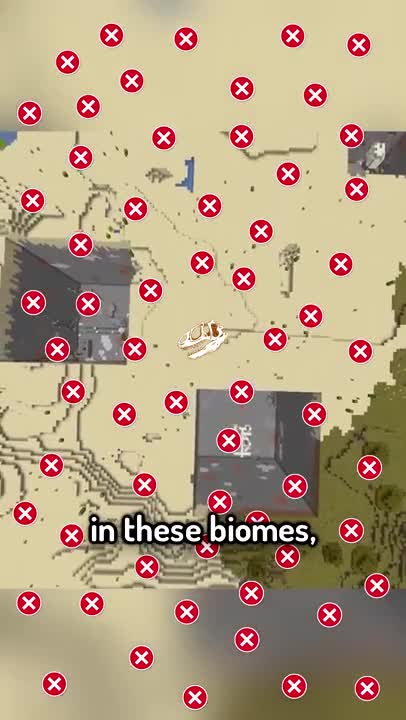 "the rarest structure in minecraft"