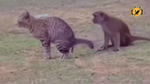 Don't mess with these animals! 🤣😜