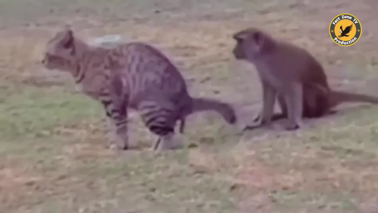 Don't mess with these animals! 🤣😜