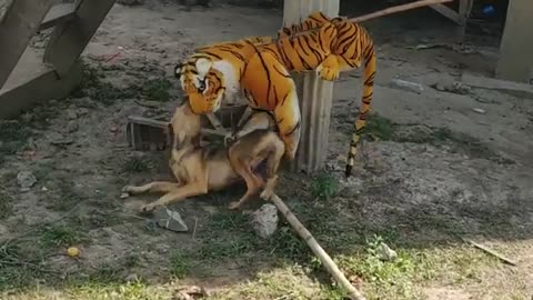 Wow Fake Tiger Prank Dog Very Funny Try To Stop