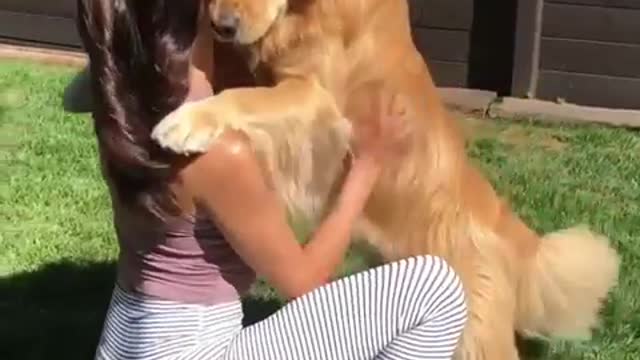 Golden Retriever Dog & Owner Like Hugs ~ They Both Can't Get Enough