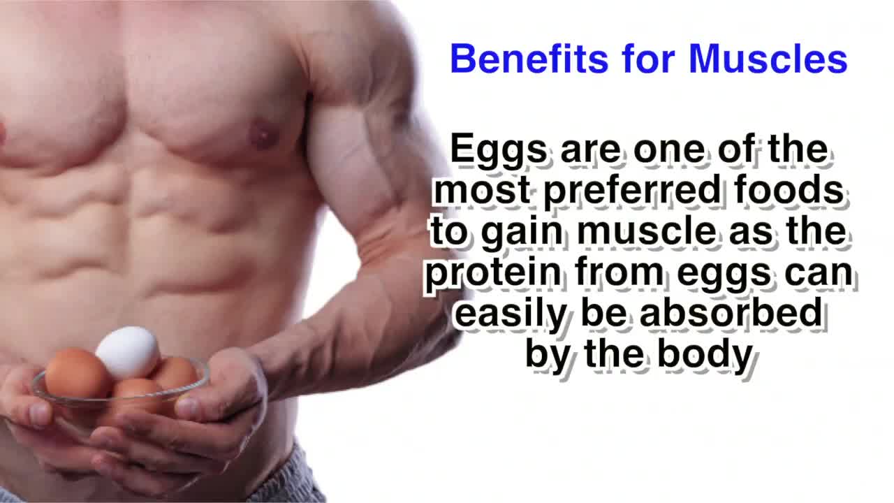 Egg Health Benefits _ Health Tips _ Healthy Living _ Eat Eggs Daily _ Protein Store