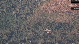 Día de la Tierra: la Amazonía y su pandemia de deforestación [Video]