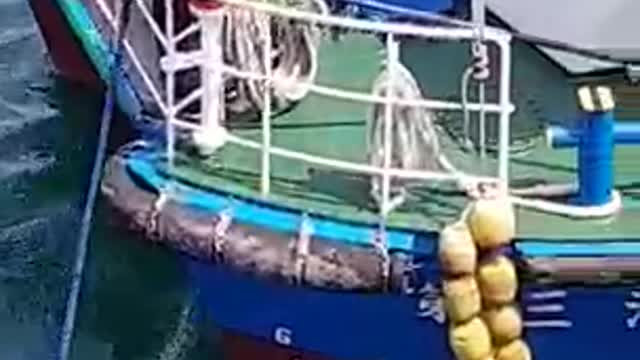 Costa cruise ship waste collection in Japan sea