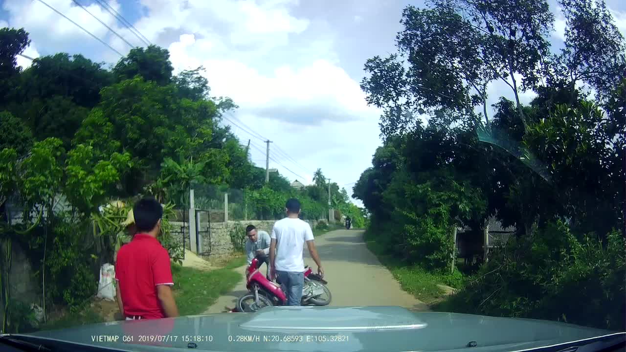 Scooter Bumps into Water Buffalo