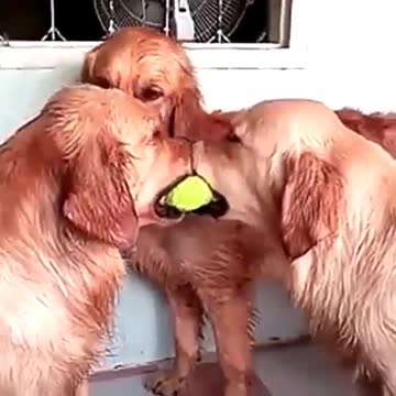 It is a time of great prosperity.