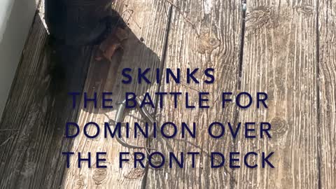 Skinks! The Battle for Dominion Over the Front Deck