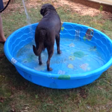 He really loves the water.