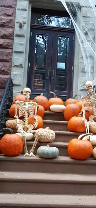 432 - THE ULTIMATE NEIGHBOR (Backup)