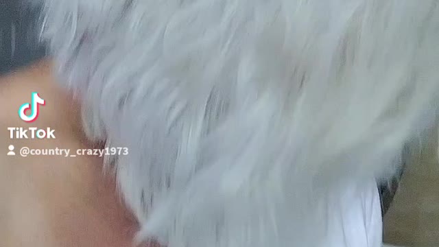 Cocaine is good now oh yeah this must be for the Bidens