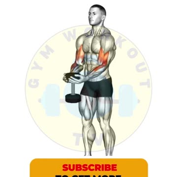 Dumbbell Bicep Workout #shorts #dumbbellexercises