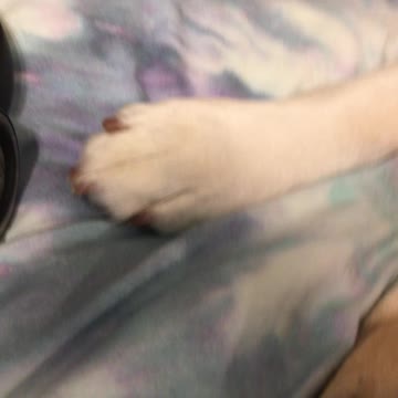 Harley’s music time