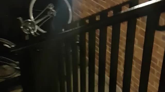 Man in grey jacket bike downstairs