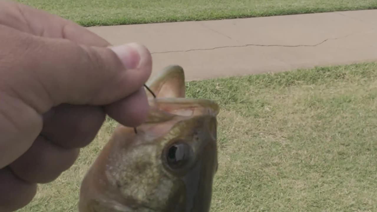 Yukon Bass Fishing Freedom Trail Park